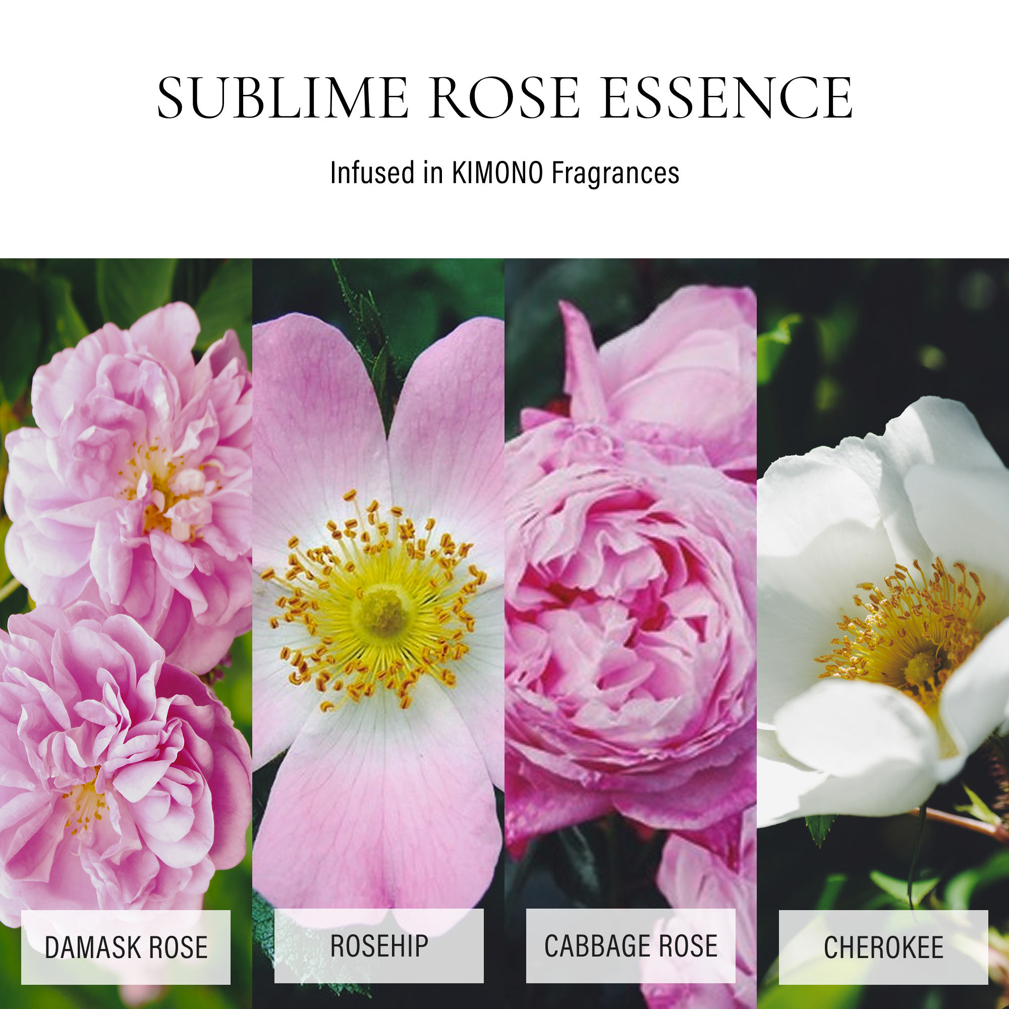 KIMONO Fragrance Mini Collection