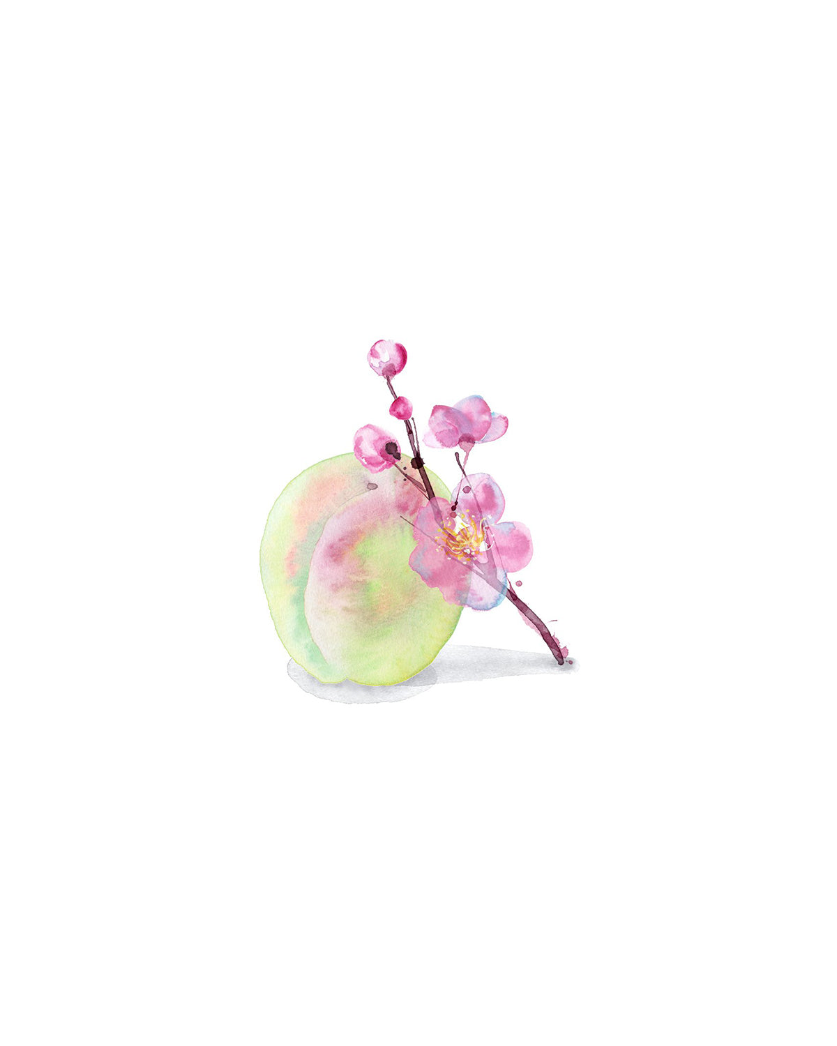 Kimono Rin Eau De Toilette